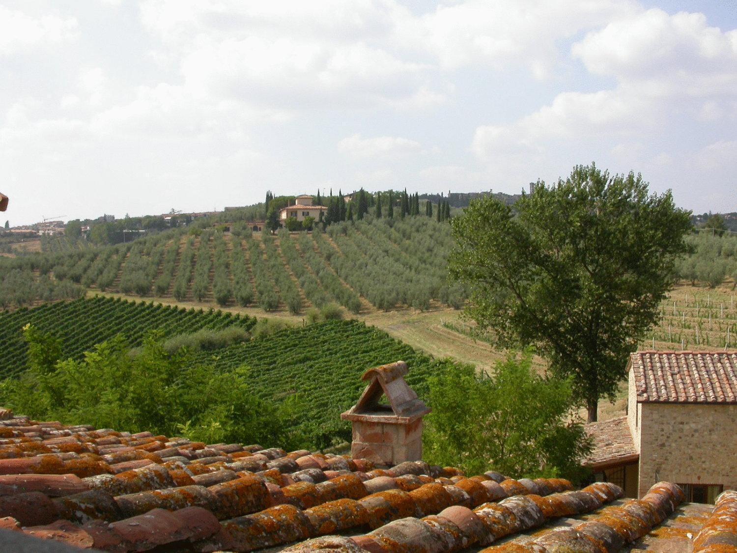 Agriturismo Torraiolo Barberino Val d'Elsa Екстер'єр фото